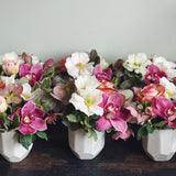 FLOWERS OF THE MONTH CLUB