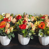 FLOWERS OF THE MONTH CLUB