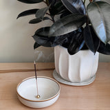 CYMBIDIUM FLORAL INCENSE + HOLDER