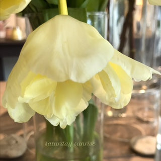 Flower Stories: "Find Your Joy" - by Lisa Berman