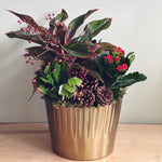 Decorative gold pot with green and red indoor plants, red berries, and pinecones on a wooden surface.