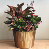 Decorative holiday plant arrangement with red berries and pinecones and Christmas cactus in a gold pot on a wooden surface.