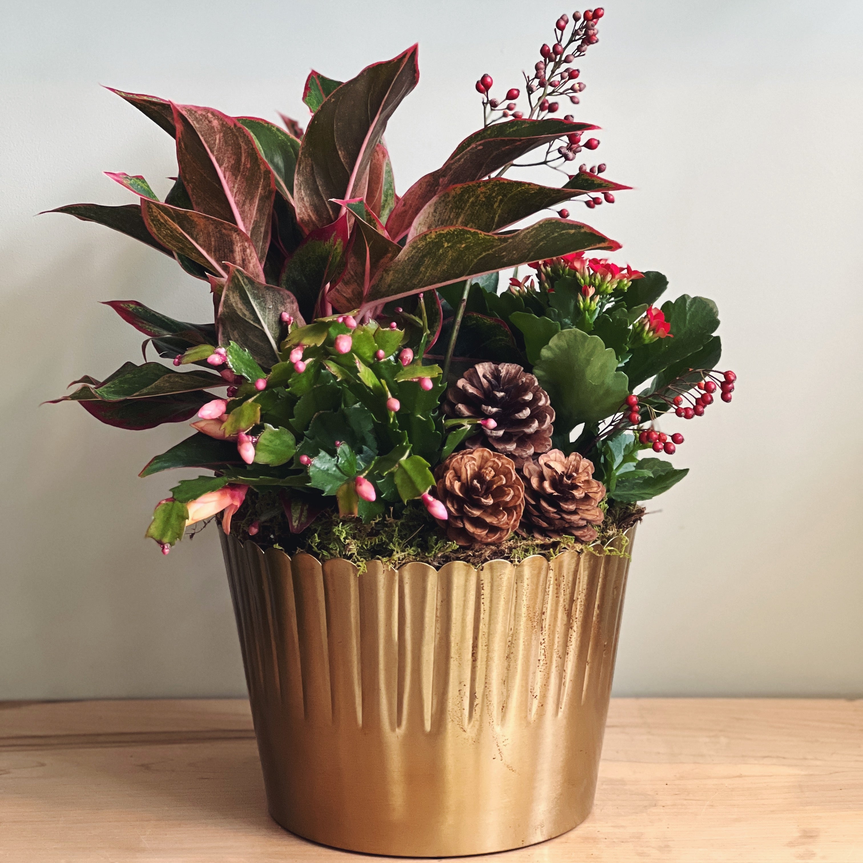Decorative holiday plant arrangement with red berries and pinecones and Christmas cactus in a gold pot on a wooden surface.