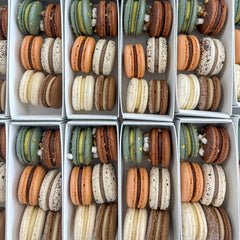 Multiple white rectangular boxes filled with assorted French macarons arranged in neat rows. The macarons come in various colors including orange, brown, green, cream, and speckled beige.