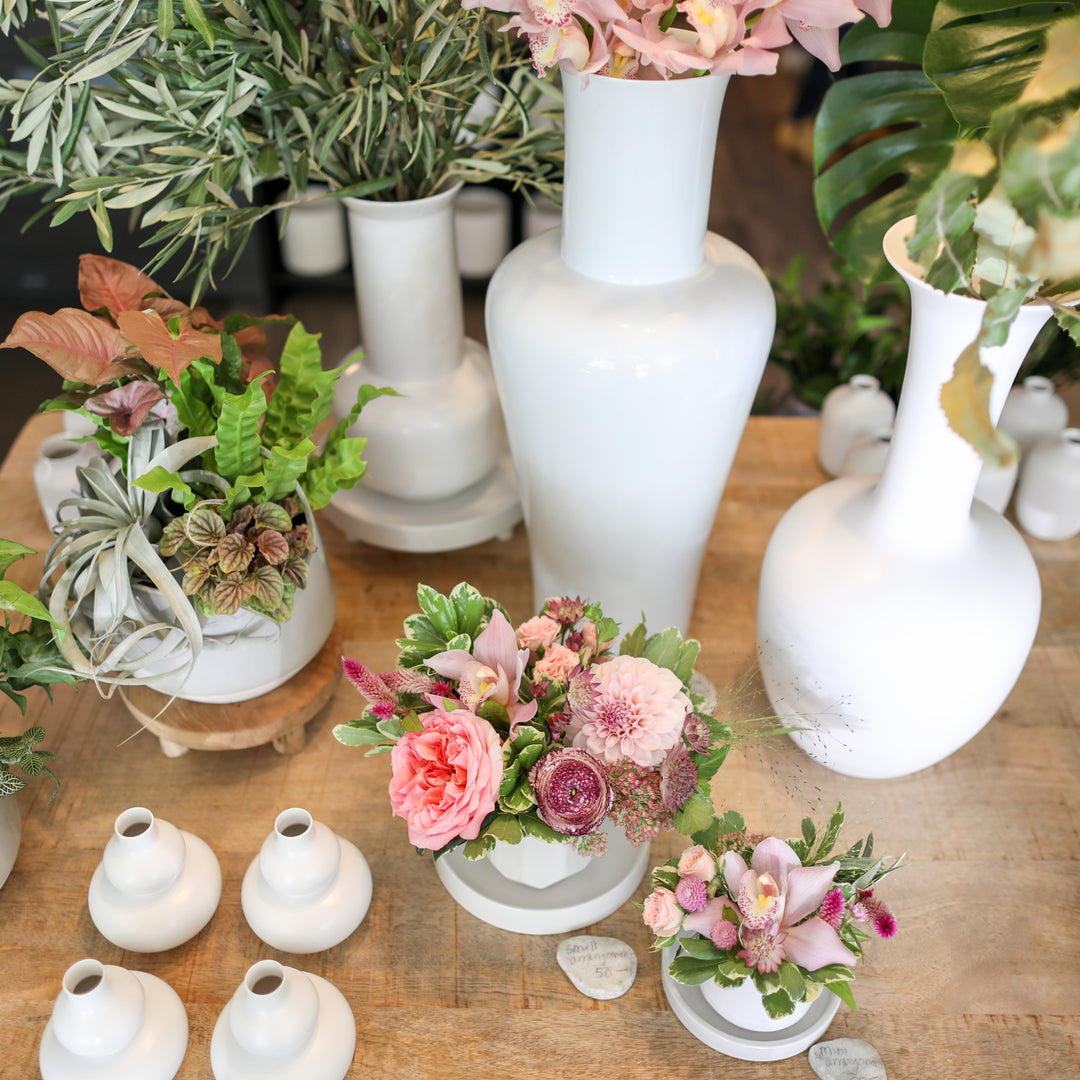 Exeter, NH Florist & Flower Boutique Cymbidium Floral cymbidium floral