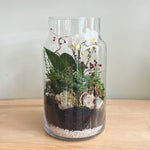 Glass plant terrarium containing on orchid plant and ferns on a wooden surface.