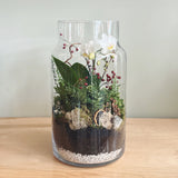 Glass plant terrarium containing on orchid plant and ferns on a wooden surface.