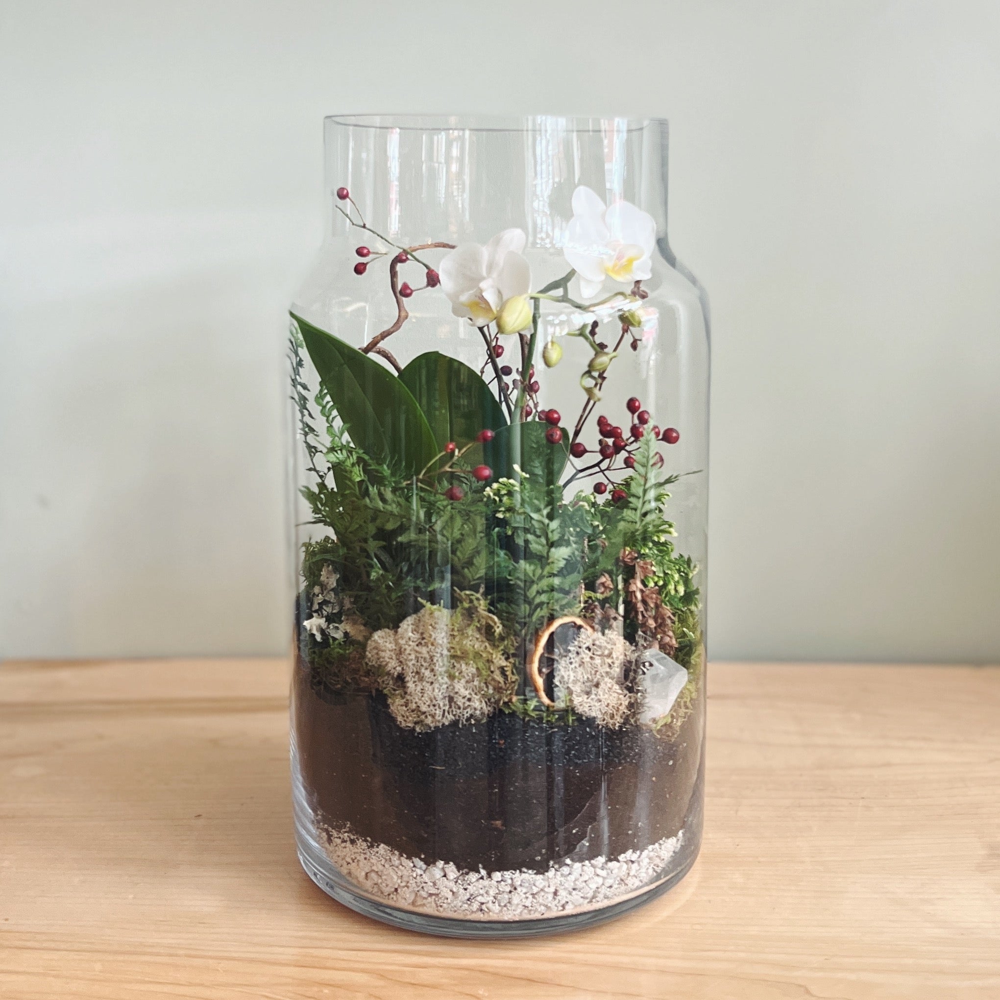 Glass plant terrarium containing on orchid plant and ferns on a wooden surface.