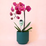 PLANT MOISTURE METER