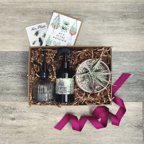 Kraft cardboard gift box with natural brown crinkle filler containing gift set of air plant in a ceramic bowl, air plant spray on fertilizer and a clear glass plant mister, complimented by a plant themed greeting card for a personal message. 